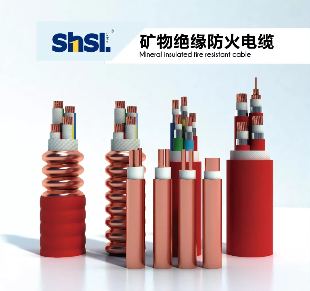 區(qū)政協主席陳勇章一行蒞臨上海浦東電線電纜集團2.jpg